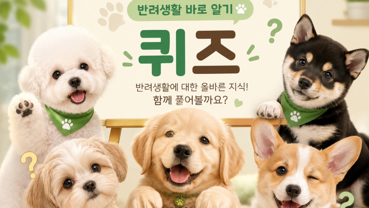 반려생활 바로알기 2