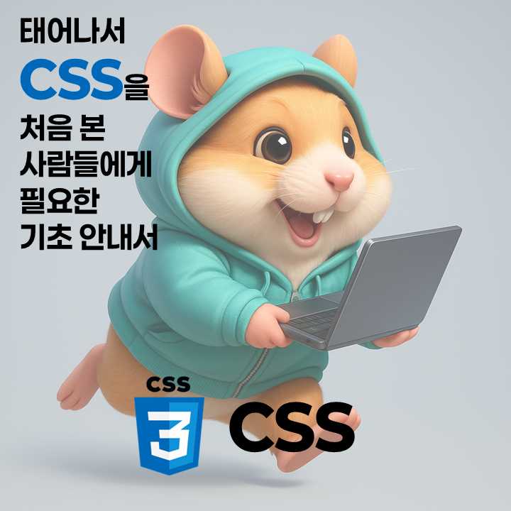 태어나서 CSS를 처음 본 사람들에게 필요한 기초 안내서